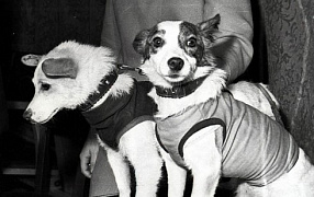 65 лет со дня полёта Белки и Стрелки